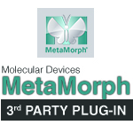 Metamorph logo