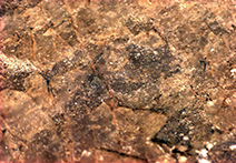 INFINITY X-21 sample image of rock sample
