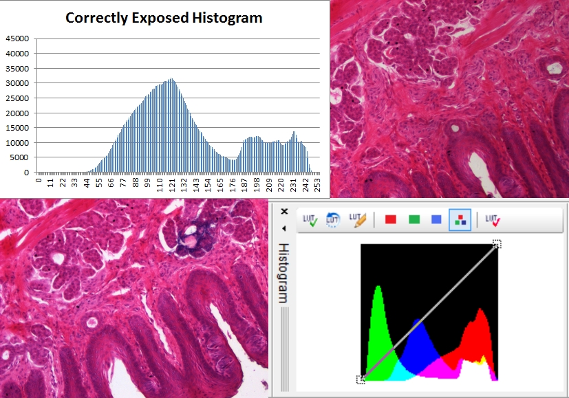 Using Histograms to Understand Your Vision System Image Data