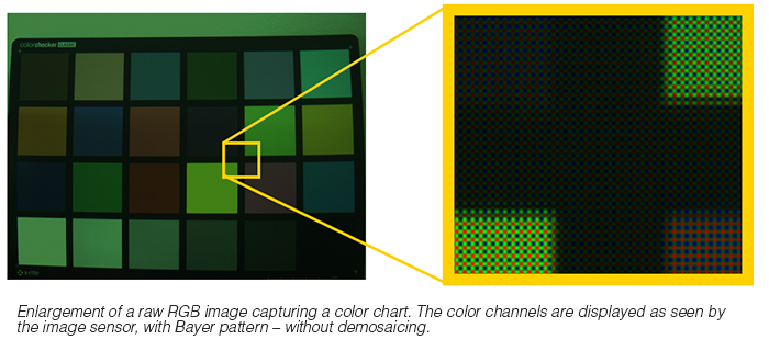 Enlargement of a raw RGB image